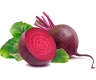 Բազուկ