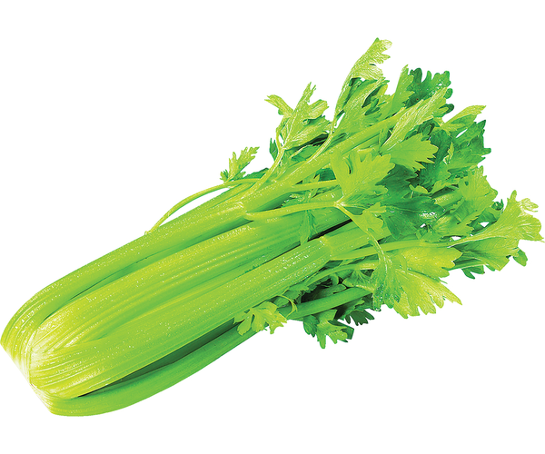Նեխուր