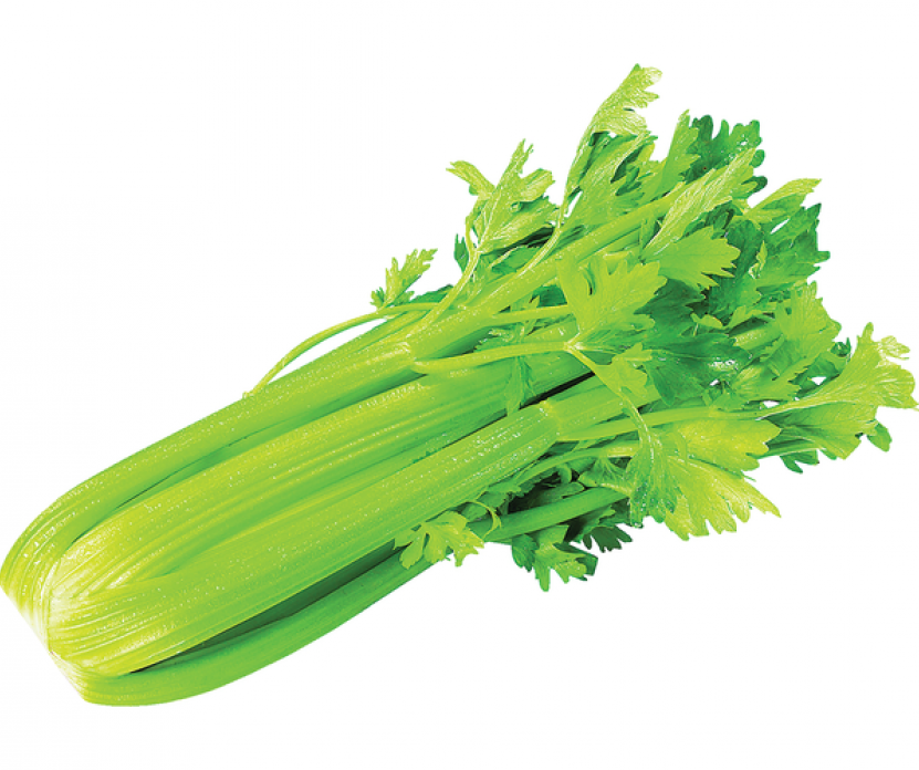 Նեխուր