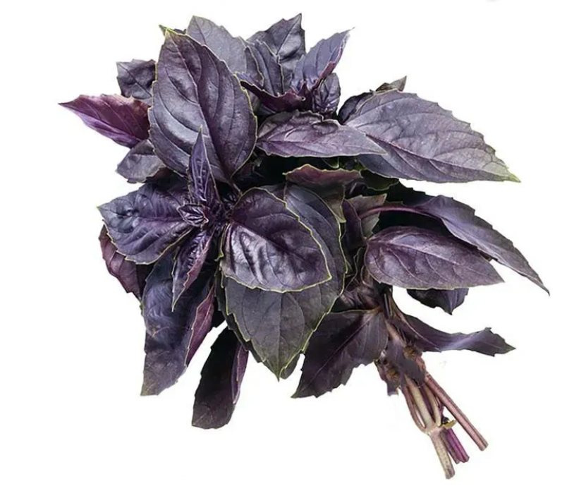 Սպանախ